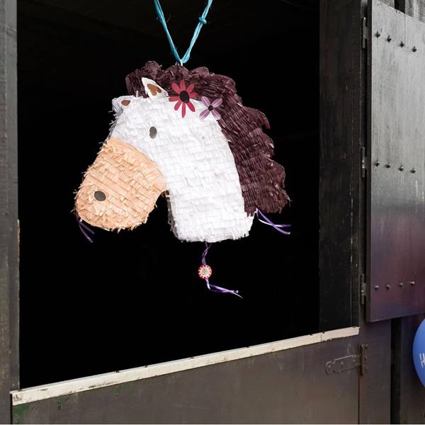 Pinhata Cavalo com Flores