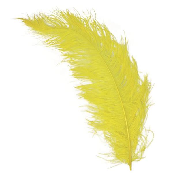 Pluma Amarela, 50 cm