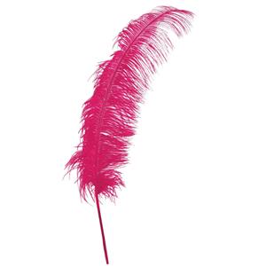 Pluma Rosa, 50 cm