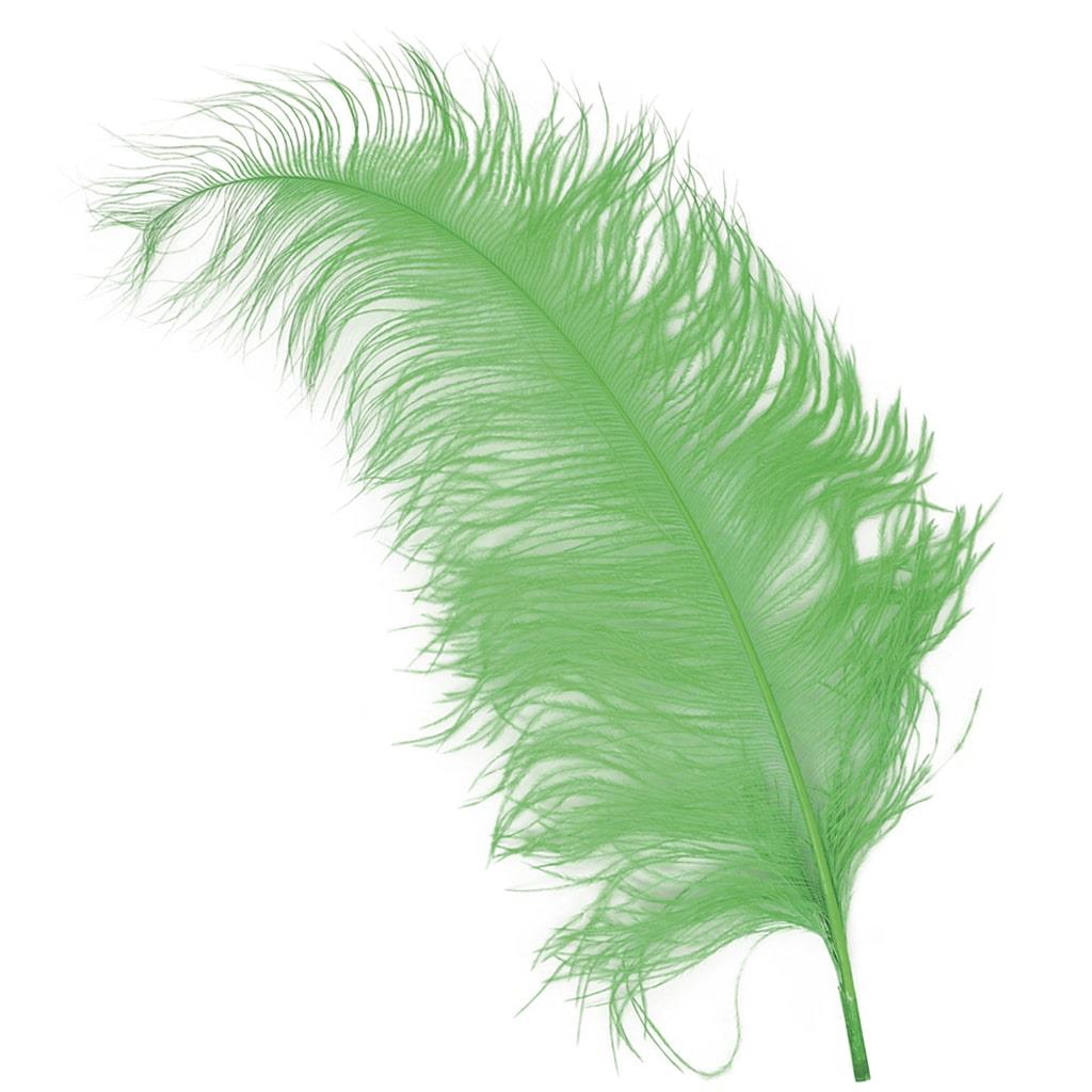 Pluma Verde, 50 cm