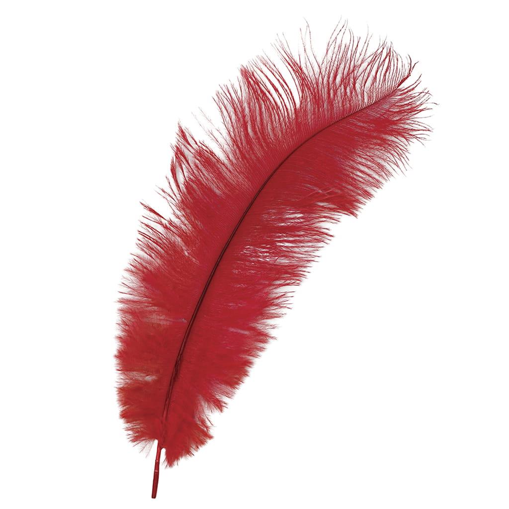 Pluma Vermelha, 30 cm