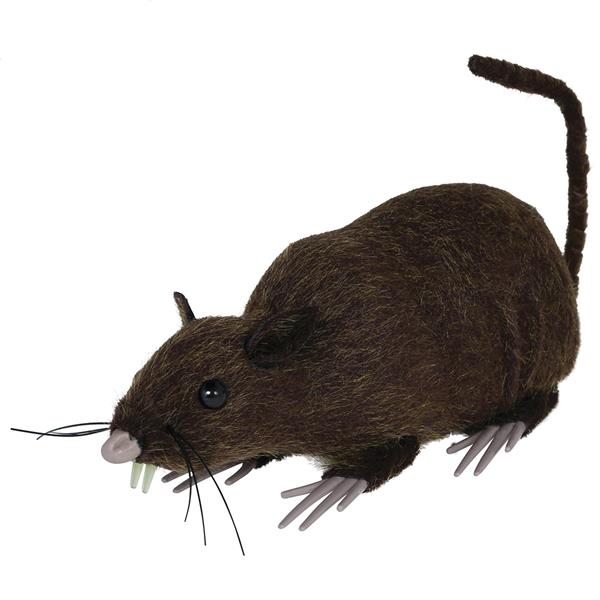 Rato Castanho, 15 cm
