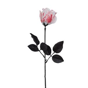 Rosa Branca com Manchas de Sangue, 42 cm