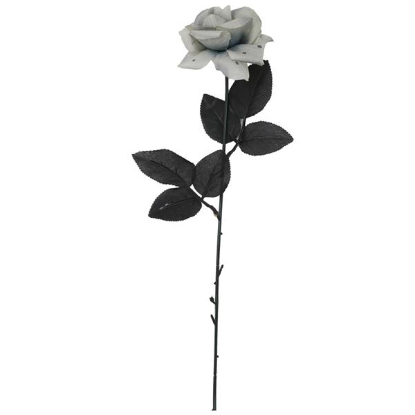Rosa Cinzenta, 40 cm