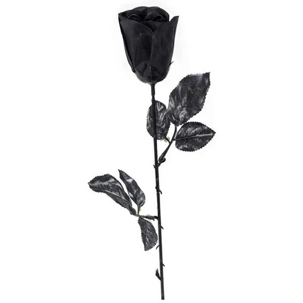 Rosa Negra