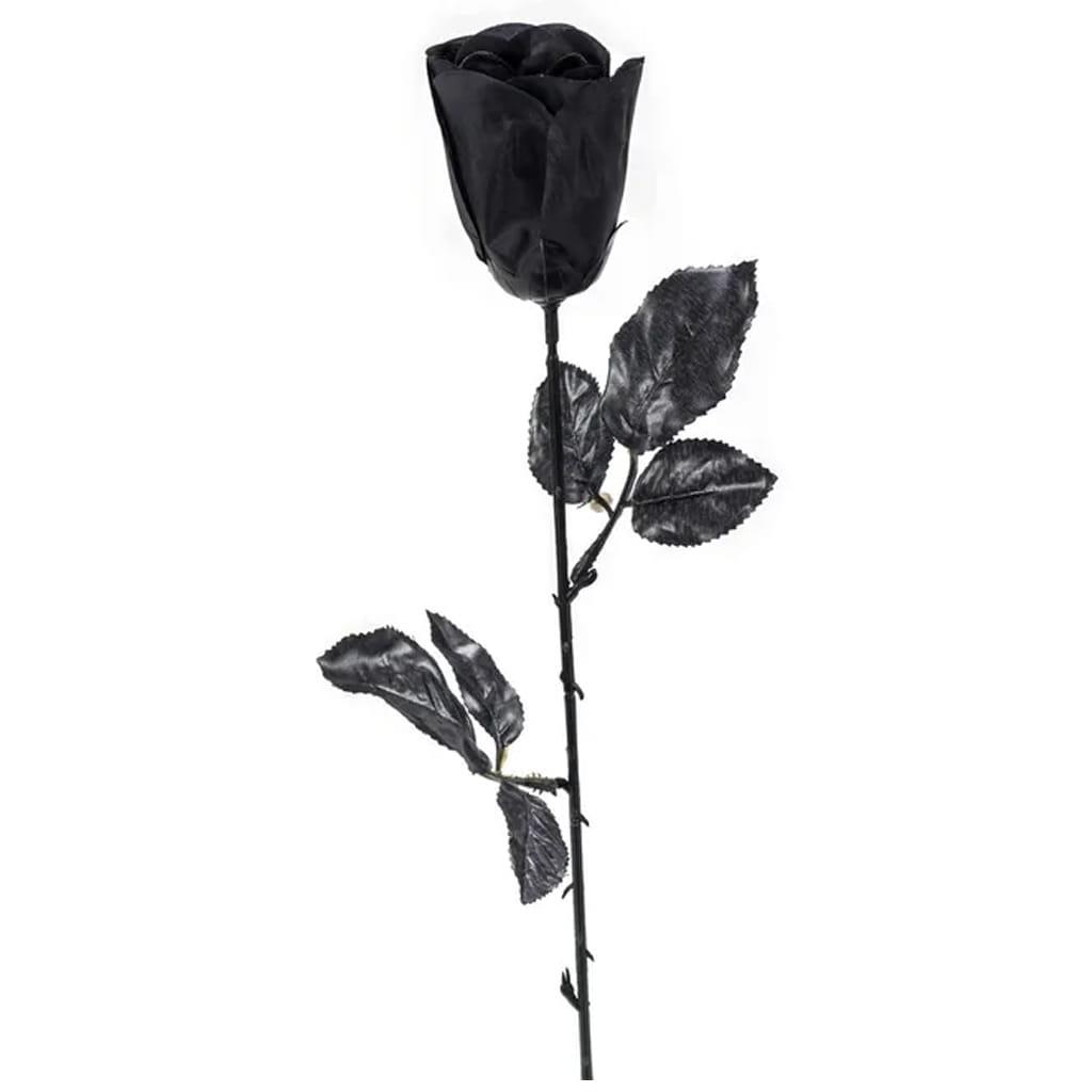 Rosa Negra