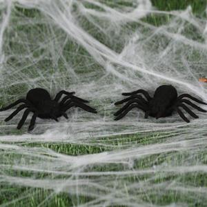 Tarântulas Pretas, 2 unid.