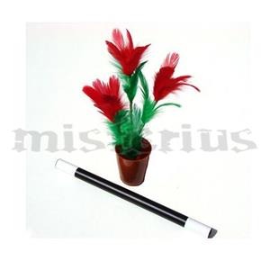 Apararição Flor Vaso Pequeno