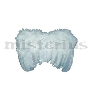 Asas de Anjo Brancas Bebe Asas de Anjo Brancas Bebe