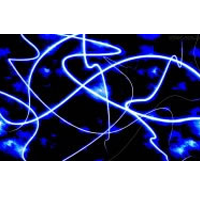 Iluminação - Luz Negra - Acessórios