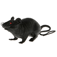 Animais falsos Halloween