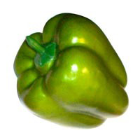 Outras | Brincadeiras