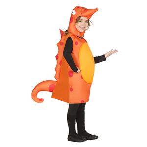 Fato Cavalo Marinho Fato Cavalo Marinho