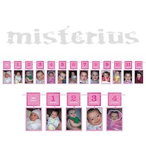 Grinalda de Fotos, 12 Meses