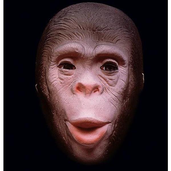 Máscara Chimpanzé em Latex