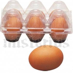 Ovo Falso de Cerâmica, vendido à uni. Ovo Falso de Cerâmica, vendido à uni.