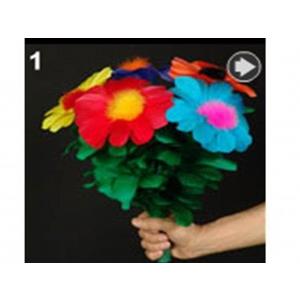 Ramo com 5 Flores- Blooming Bouquet 5 Flowers Tora Magic ;