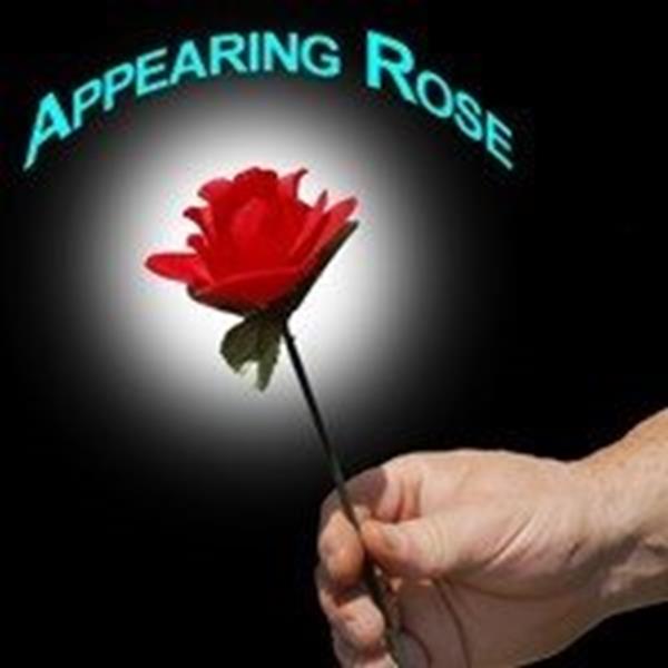 Rosa aparição - Appearing Rose