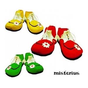 Sapatos Palhaço com Flor, criança
