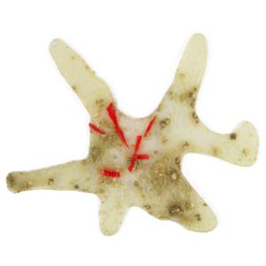 Vomitado Saliva Vomitado Saliva