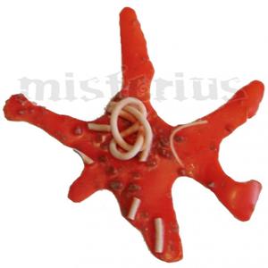 Vomito Vermelho com esparguete Vomito Vermelho com esparguete